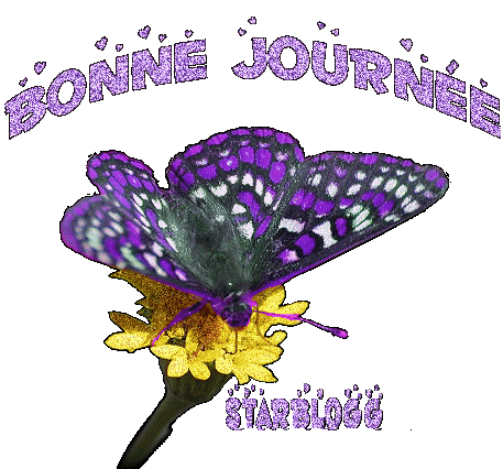 Bonne Journée