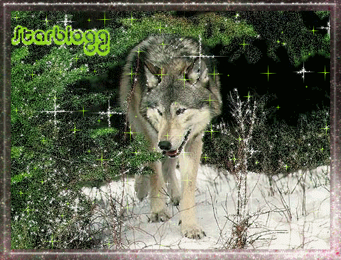 loup