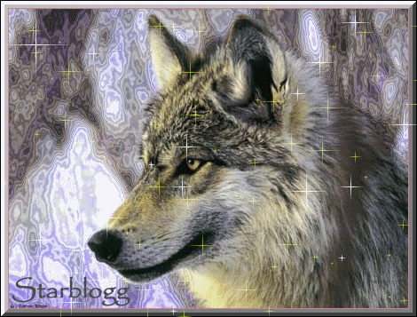 Loup